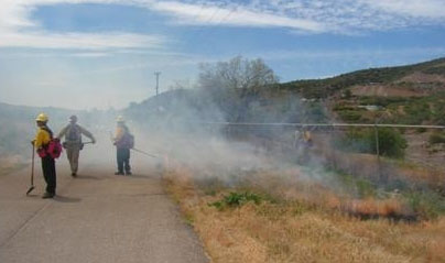 firefighters spraying fire