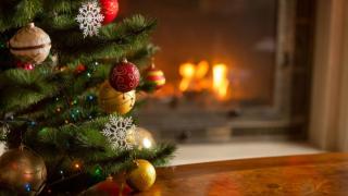 Photo of tree in front of fire place